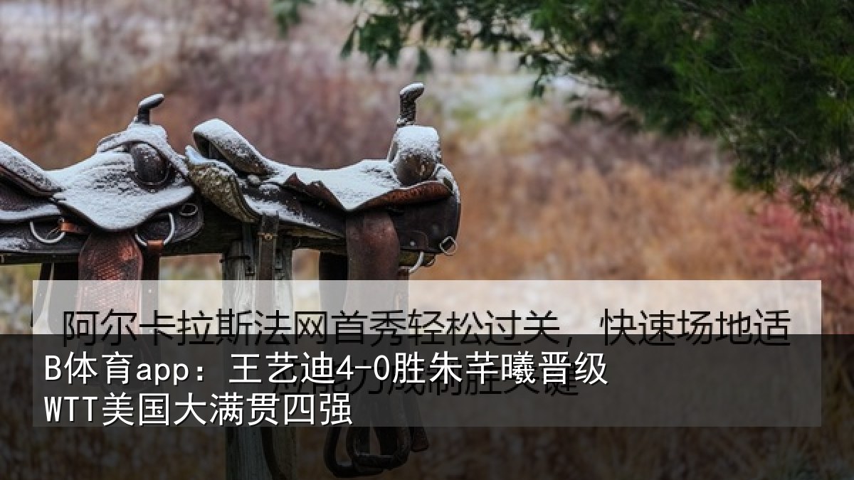 B体育app：王艺相关情况国大满贯四强