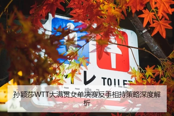 孙颖莎WTT大满贯女单决赛反手相持策略深度解析