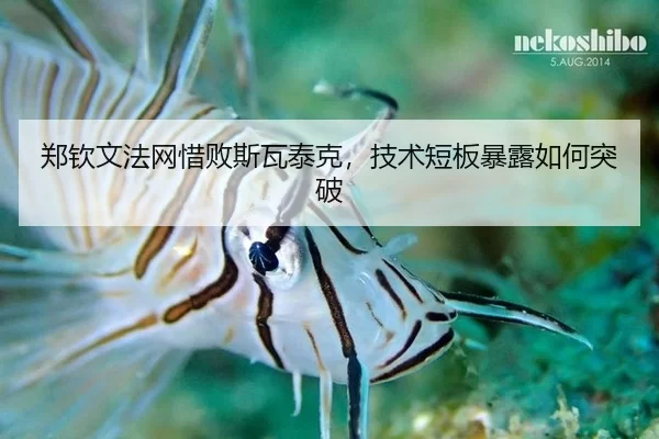郑钦文法网惜败斯瓦泰克，技术短板暴露如何突破