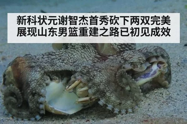 新科状元谢智杰首秀砍下两双完美展现山东男篮重建之路已初见成效
