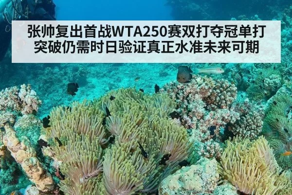 张帅复出首战WTA250赛双打夺冠单打突破仍需时日验证真正水准未来可期